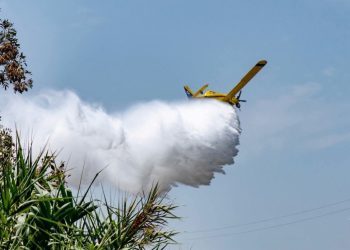 Feux de forêts à Annaba  : Des avions bombardiers à la rescousse 