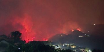 Incendies des massifs forestiers : La nuit où Seraïdi a vu rouge ! 