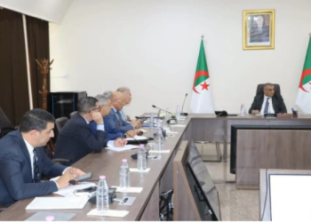 Ligne ferroviaire Annaba–Tébessa : Renforcer les chantiers pour tenir les délais de réalisation 