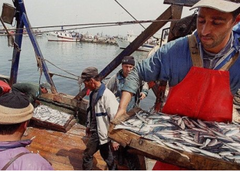 Santé au travail  : Les marins pêcheurs au cœur d’une étude 