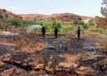 Est du pays : 90 départs de feu en une journée 