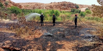 Est du pays : 90 départs de feu en une journée 
