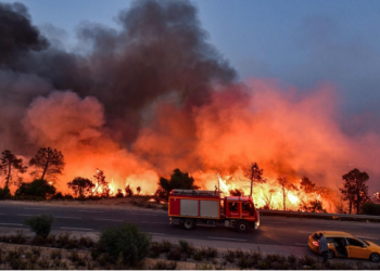 Incendiaires : Une menace pour le patrimoine naturel 