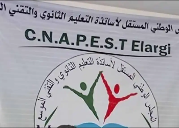 Syndicat de l’éducation :  Le Cnapeste dissout par décision de justice 