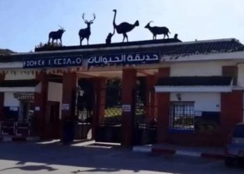 Parc zoologique de Jijel  : 10.000 visiteurs ce week-end  