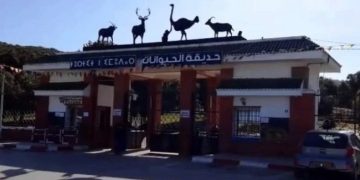Parc zoologique de Jijel : 10.000 visiteurs ce week-end