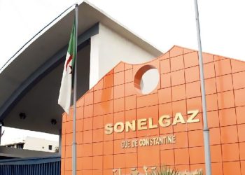 Face aux incendies : Coupures préventives de Sonelgaz  