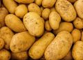 Hausse des prix de la pomme de terre : Les ménagères déboussolées ! 