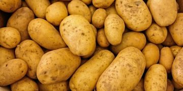 Hausse des prix de la pomme de terre : Les ménagères déboussolées ! 