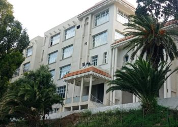Centre de recherche en environnement d’Annaba  : Hadjer Mekahlia, une chercheuse qui… trouve  