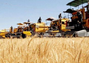 Saison agricole 2025-2026  : Bilan et nouvelles orientations  