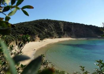 Plage de la Vieille Calle : Le charme brut d’une nature préservée 