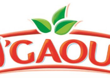 Batna : L’usine N’Gaous en péril ! 