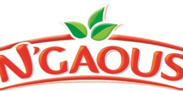 Batna : L’usine N’Gaous en péril ! 
