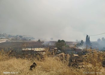 Wilayas de l’Est : Le lourd tribut face aux feux d’été 
