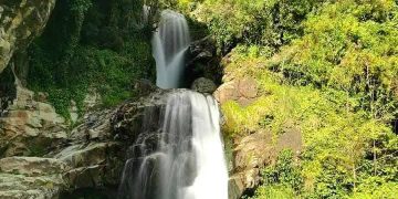 Afensou et Aïn Sedma (Skikda) : Des joyaux d’eau douce dévoilés  