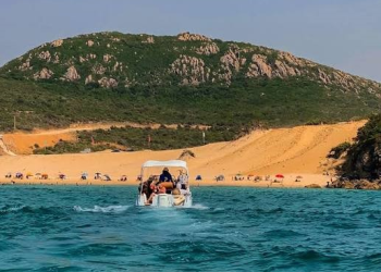 Les sorties organisées : Nouvel eldorado des estivants 