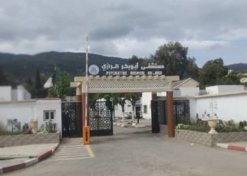 Hôpital Aboubakr Errazi  : Quand l’activité accompagne le rétablissement  