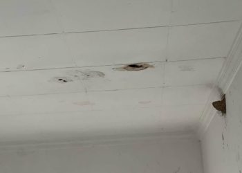 Infiltrations d’eau à l’hôpital d’El Kala : Visite surprise du wali aux urgences  