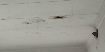 Infiltrations d’eau à l’hôpital d’El Kala : Visite surprise du wali aux urgences