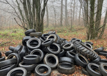 Forêt de Bouguentas : Découverte suspecte de 55 pneus usagés 