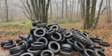Forêt de Bouguentas : Découverte suspecte de 55 pneus usagés 
