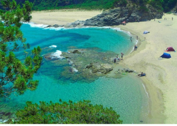 Une plage comme échappée du monde  : L’arrière-saison à Oued Bibi 