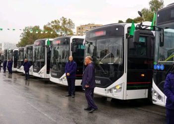 GUELMA  : 66 lignes de transport lancées  
