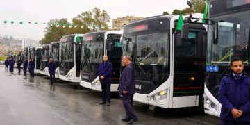GUELMA  : 66 lignes de transport lancées  
