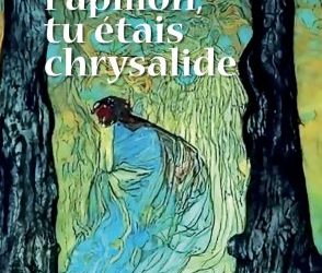 « Papillon, tu étais chrysalide » de Imène Bensitouah  : Quand l’écriture devient un chemin vers soi 