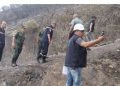 Après les incendies : Annaba évalue les dégâts 