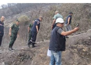 Après les incendies : Annaba évalue les dégâts 