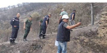 Après les incendies : Annaba évalue les dégâts 
