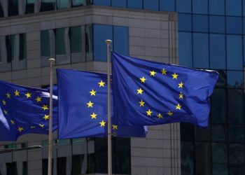 L’UE envisage des centres de retour en Afrique : Les sans-papiers algériens concernés 