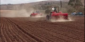 Campagne céréalière 2026-2027 : 39 000 quintaux de semences et d’engrais mobilisés