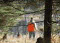 Saison de chasse 2026-2027 : 227 permis délivrés, six zones de chasse recensées
