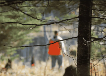 Saison de chasse 2026-2027 : 227 permis délivrés, six zones de chasse recensées 