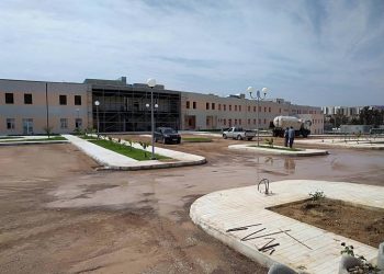 CANCER PÉDIATRIQUE : Vers un hôpital spécialisé à Draa Errich
