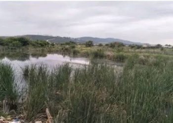 Protection de la biodiversité : Les attentes autour des sites naturels