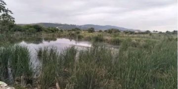 Protection de la biodiversité : Les attentes autour des sites naturels